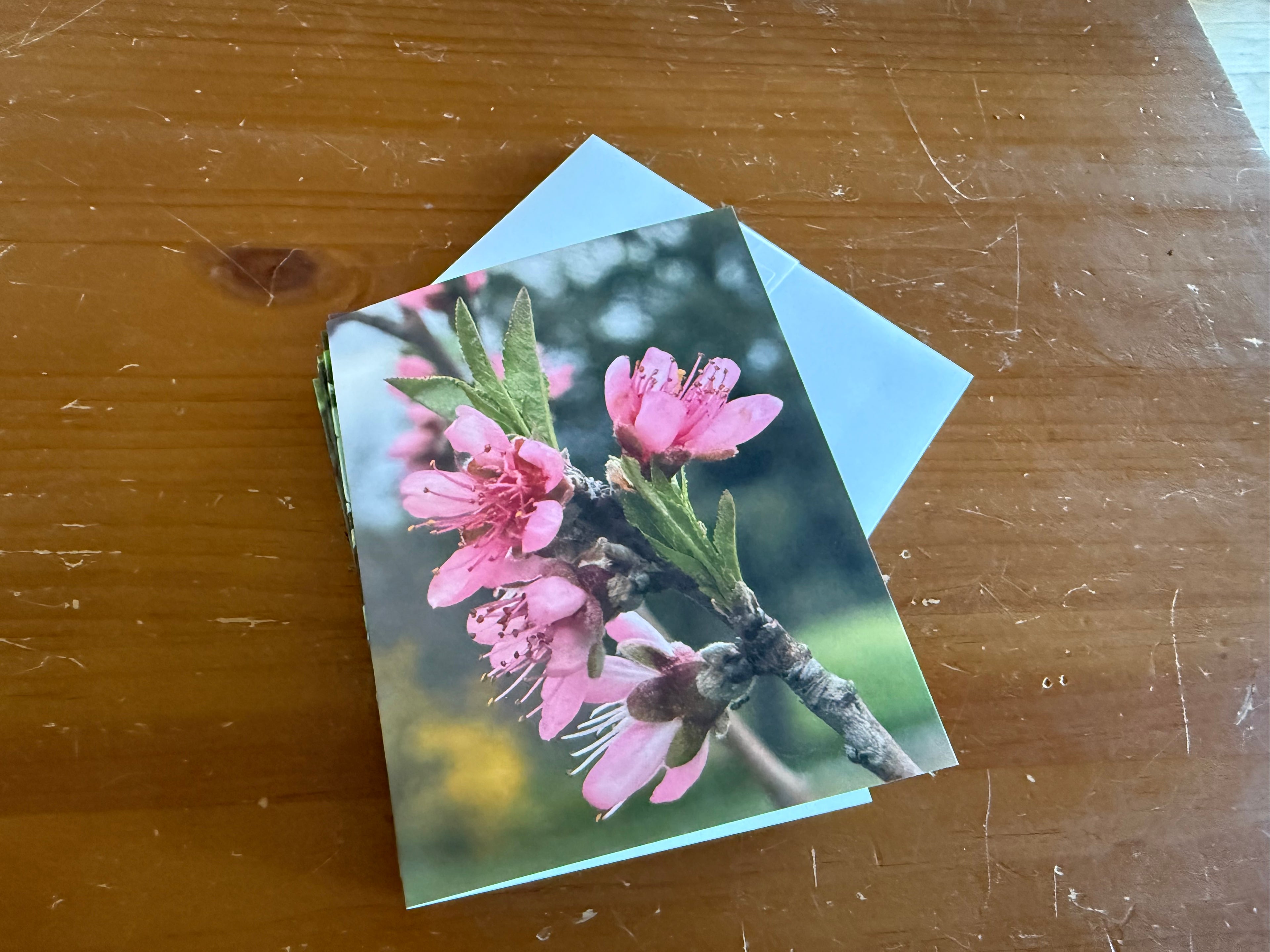 Floral Notecard Set