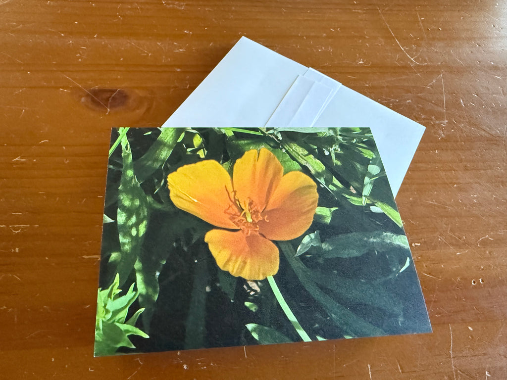 Floral Notecard Set