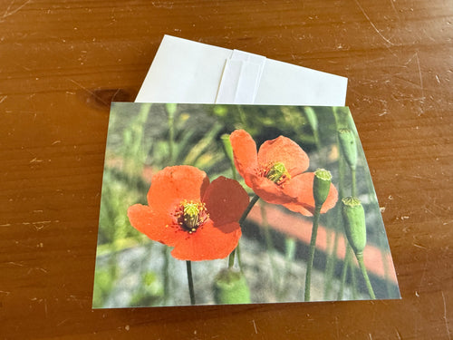 Floral Notecard Set