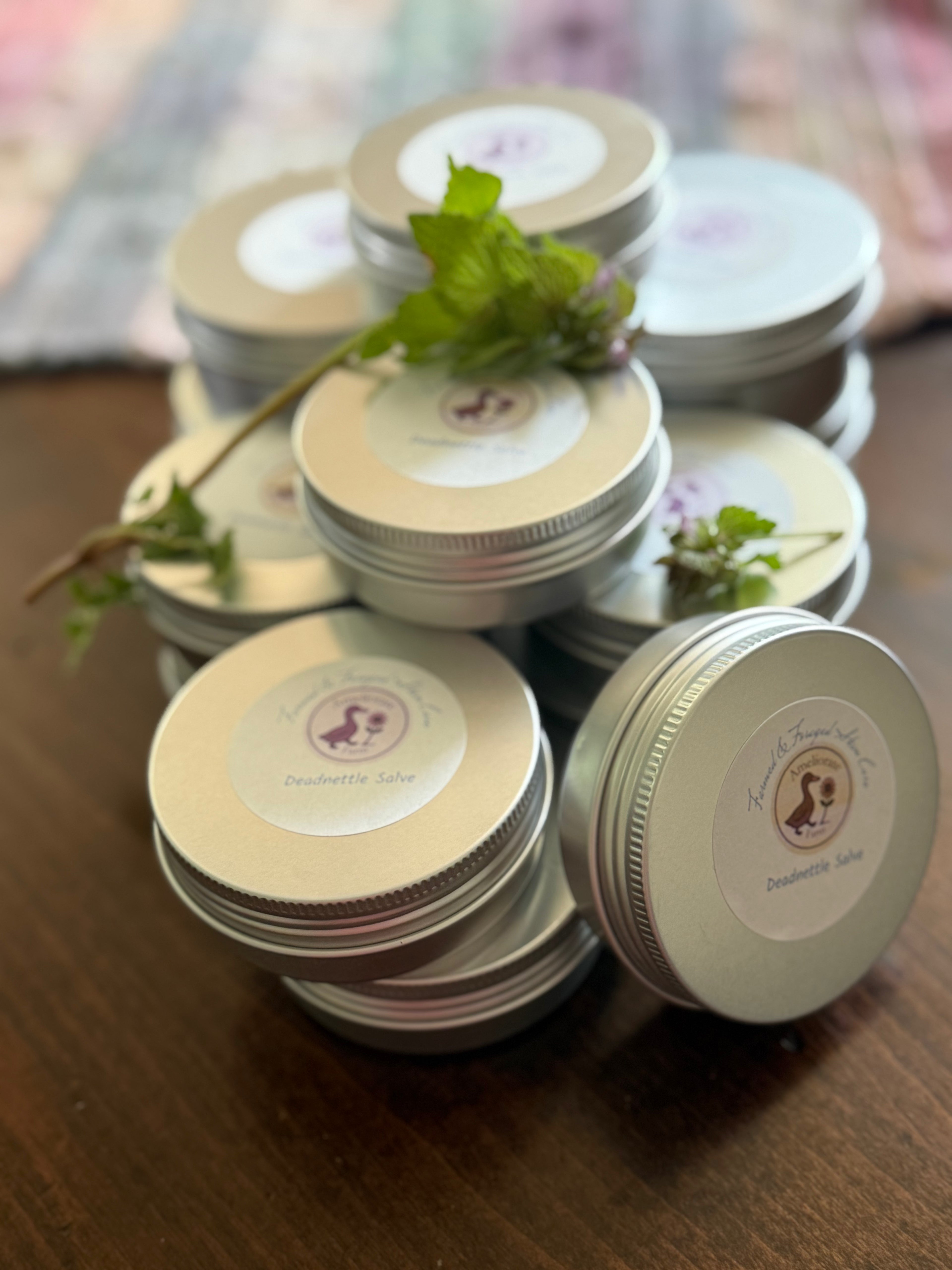 Purple Deadnettle Salve