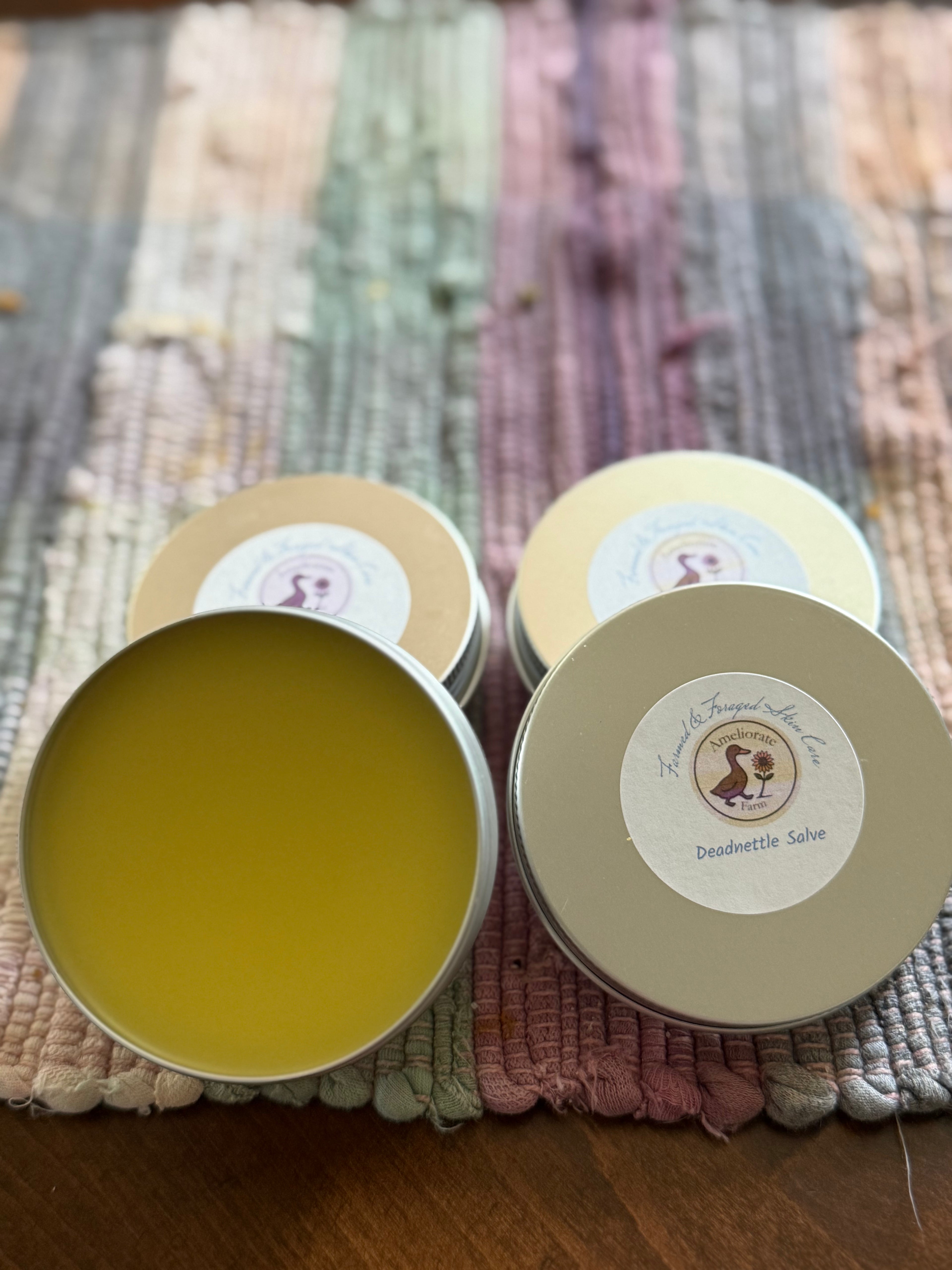 Purple Deadnettle Salve