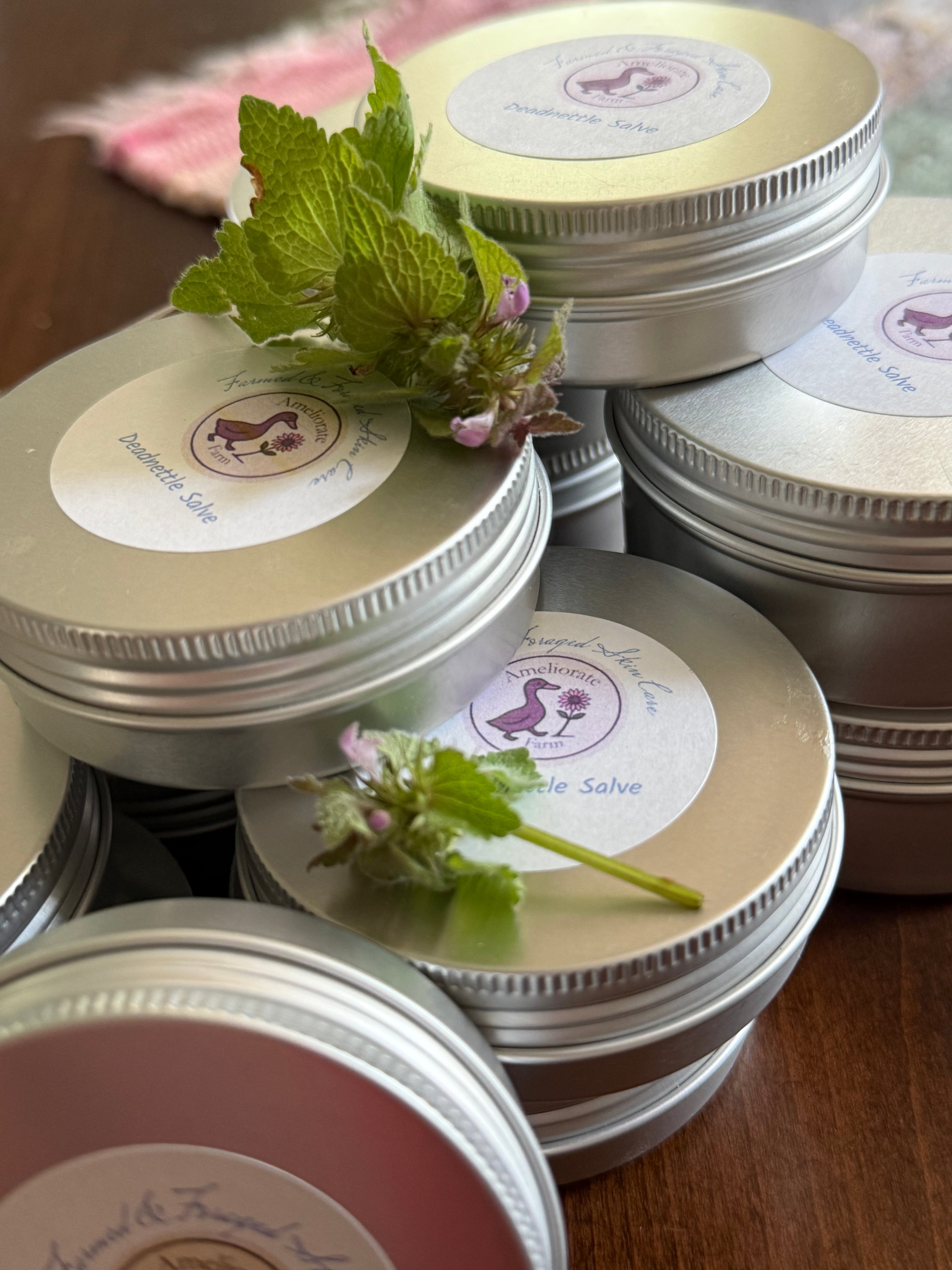 Purple Deadnettle Salve