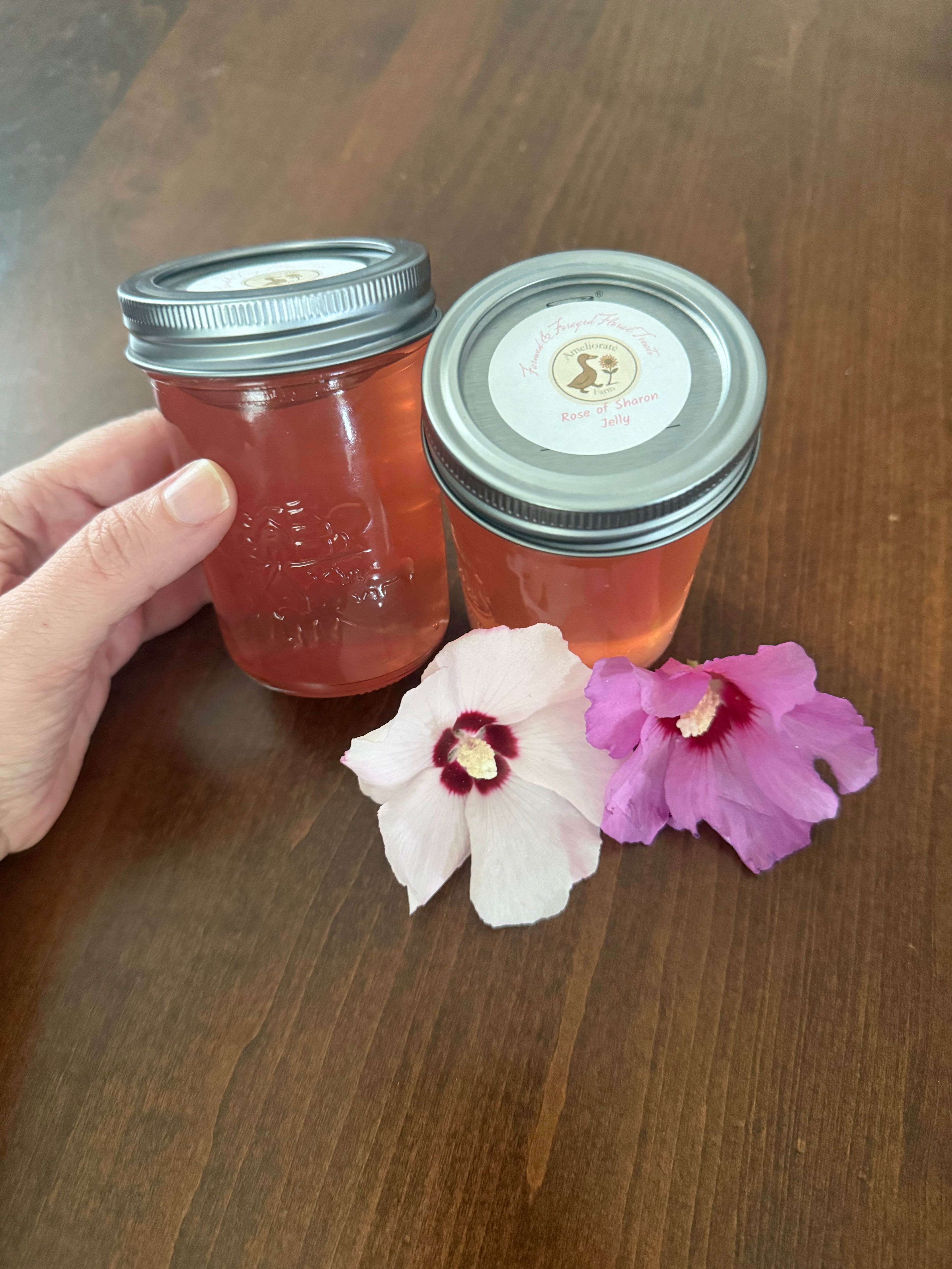 Rose of Sharon Jelly