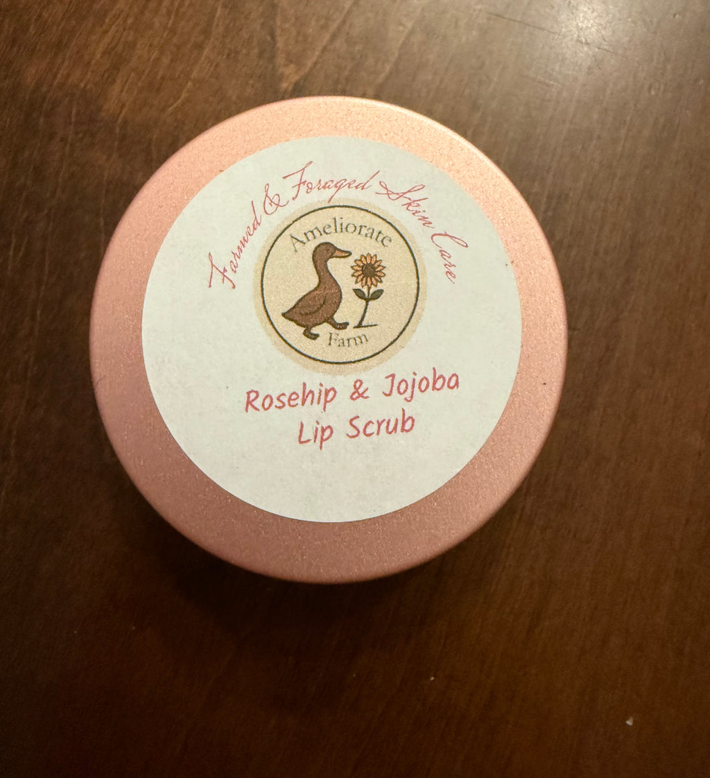 Rosehip and Jojoba Lip Scrub